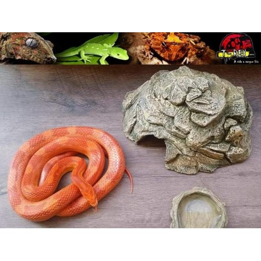 Toca Média para Répteis TM-01 Terrário | Pogona | Gecko