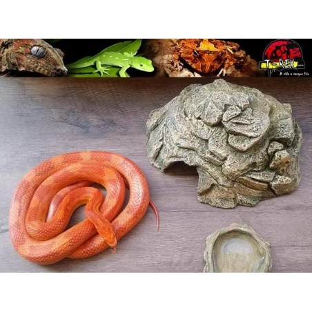 Toca Média para Répteis TM-01 Terrário | Pogona | Gecko