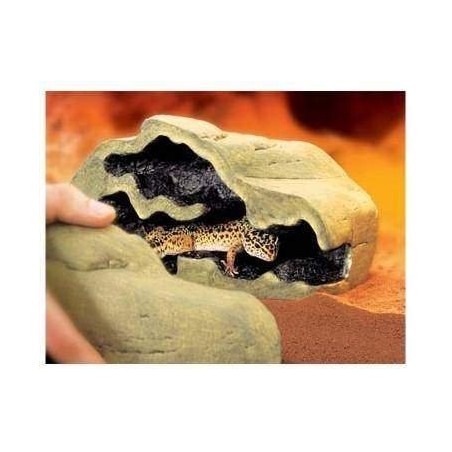 Reptile Den Répteis | Iguana | Pogona | Gecko