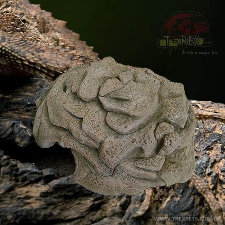 Toca para Leopard Gecko