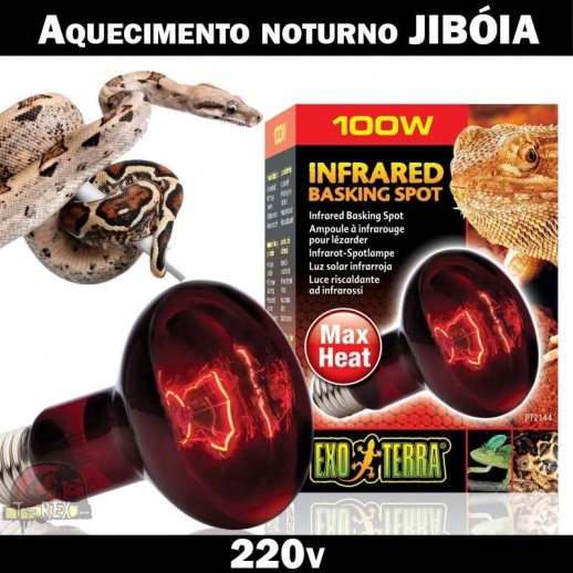 Lâmpada aquecimento jibóia