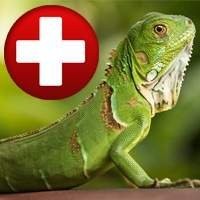 Clínica Veterinária