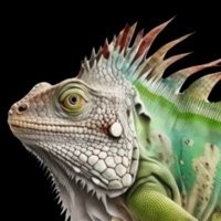 Lâmpada para répteis - Terrário